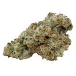 Buy Haze strain The Classic Sativa Choice