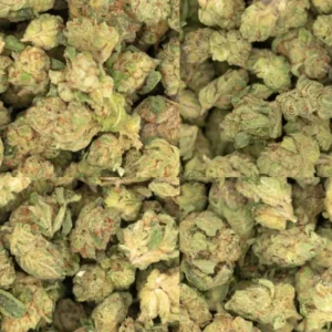 Buy weed online in Oman | fast delivery