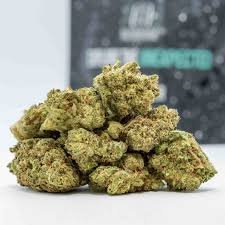 Ghost Train Haze: An Intense Sativa Experience