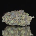 Maui Waui: Tropical Vibes in a Strain