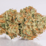 Order Tangie weed strain: Citrus Freshness for Daytime Use