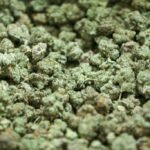 Where can I buy weed in Dubai UAE | Fast Delivery