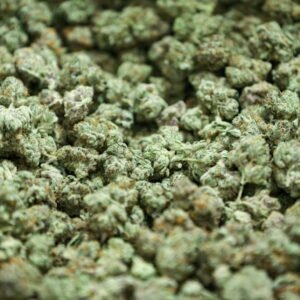 Where can I buy weed in Dubai UAE | Fast Delivery