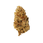 Buy Amnesia Haze: The Euphoria Booster|Discreet delivery