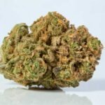 Blue Dream: Balanced Hybrid with Sativa Dominance