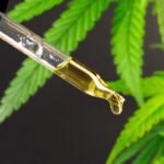 Buy premium Thc oil in uae | abu dhabi