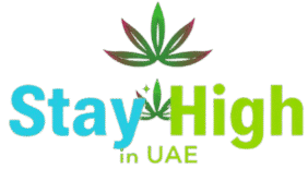 Buy Cannabis in UAE