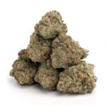 Buy Jack Herer: The Classic Sativa for Creativity