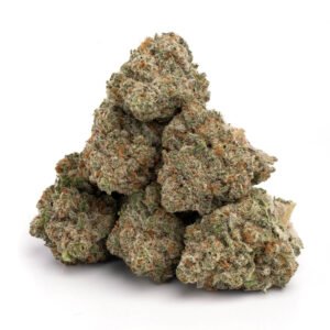 Buy Jack Herer: The Classic Sativa for Creativity