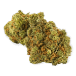 Lemon Sativa weed Strain