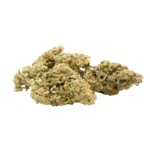 Mango Cake Sativa weed Strain