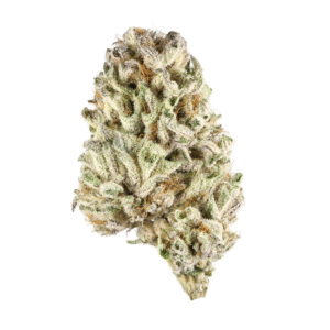 North American Indica Weed Strain