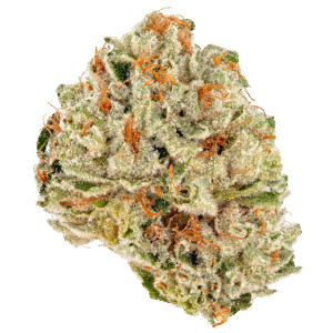 South Indian Indica Weed Strain