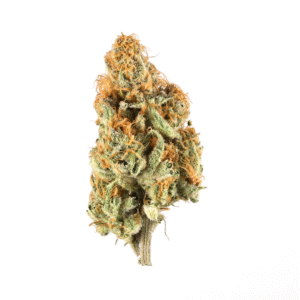 Swiss Indica Weed Strain