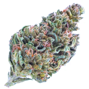 Swiss Sativa weed Strain