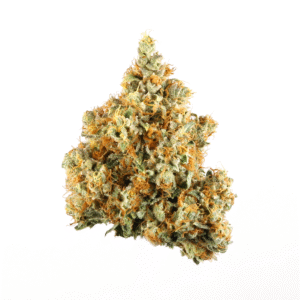Hawaiian Sativa weed Strain