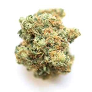 Santa Sativa weed Strain